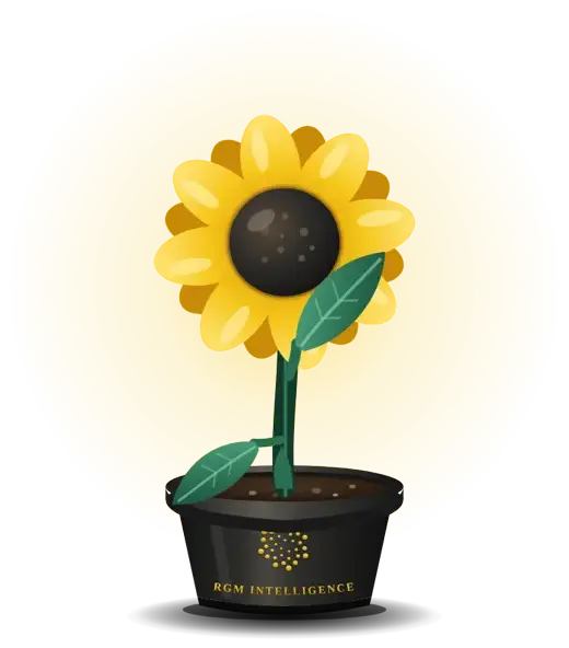 ELIZE, a sunflower in an RGM Intelligence pot, waving