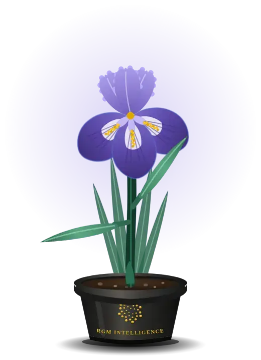 IRIS, a violet iris in an RGM Intelligence pot